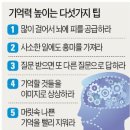 스마트폰에 빠진 대한민국…"뇌에도 쉴 시간을 줘라"(한국경제) / 빛viit명상의 예방의학적 효과 9가지(행복순환의 법칙) / 이미지