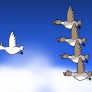 스크린 여행 일본어 이미지