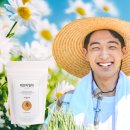 도밍고 | [내돈내산] 쿠팡 추천템! 달달한 꿀향 가득한 도밍고 꿀캐모마일차 솔직 후기 후기 🍯🌼