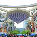 평촌 권투체육관 이미지