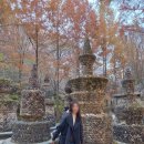 산림욕장 | 대전 아이랑 갈만한 곳 데이트 코스 추천 [ 상소동 산림욕장 ] 단풍놀이 후기