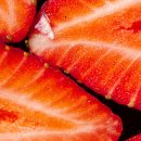 사례농장 이미지