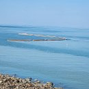 ㈜대우가스 이미지