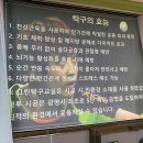 그린탁구교실