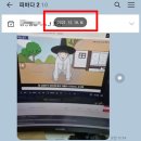 내 친구 충수 이야기 1