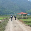 이제, 단양 이미지