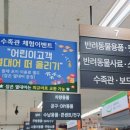 금곡수족관