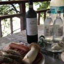 그린민박2 이미지