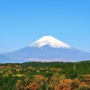 올리스 일산백석점 이미지