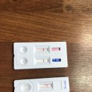 광주TNR동물병원(초월) 이미지