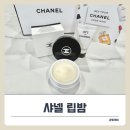 샤넬케어 | 샤넬 립밤 추천! ‘이드라 뷰티 너리싱 립 케어’ 내돈내산 후기
