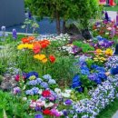 풍요의 정원 이미지