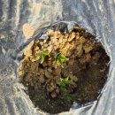 우빈농장 이미지