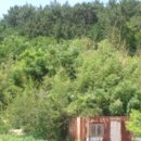 구산면580 이미지