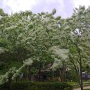 홍련봉공원 이미지