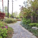 도안사랑공인중개사사무소 이미지