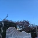 관광특구로 | 고터·세빛 관광특구 1주년 기념 및 거리조성 준공식 후기