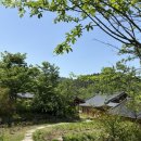 자비의집 | 부처님오신날 성주 자비선사 템플스테이 후기