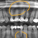물금센트럴치과의원 이미지