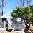 진산자연휴양림 이미지