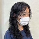 딜라잇솔