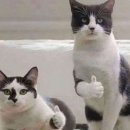 한일사료(주) 이미지