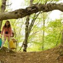 윌리스빌 이미지