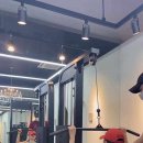 로하핏스튜디오 이미지