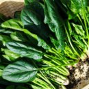 포드짐 남산점 이미지