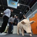 농업인회관 화장실 이미지