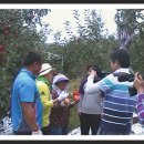 거창-고제-9 이미지