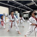 전인태권도교육관 이미지