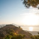 한가라지 이미지