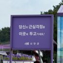 전남 신안 가볼만한곳 드론 촬영 명소 퍼플섬! 무료입장 꿀팁 직접 다녀온 후기