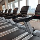 요요정원 | 요요현상, 대체 왜 올까?