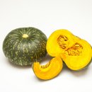 닥터핏24 이미지