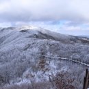 12월25일 성탄절 지리산 바래봉 겨울산행 BAC100 이미지