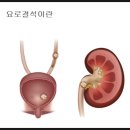 월드부산의원 이미지