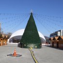 최중균-크리스마스기념탑-2023,12,23[광화문광장] 이미지