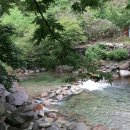 강나루민박 이미지