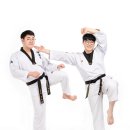 힘쎈어울림태권스쿨 이미지