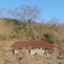 임자공인중개사사무소 이미지