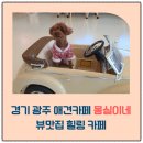 힐링뷰 | 경기 광주 애견카페 몽실이네 후기｜뷰맛집 힐링 카페 완벽 리뷰