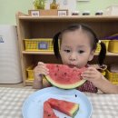 (8/7/금)🍉 수박 탐색 &amp; 강당 놀이터 이미지