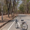 개를 조심해야 한다는 세계문화유산인 캄팽펫 역사공원(Kamphaeng Phet Historical Park)제2구역과 맥주 이름 이미지