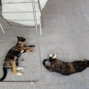 문화마을봉전 이미지