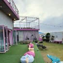 위드세화민박 | 페어리제주 - 세화 오션뷰 까페. 너무 이쁜 해안도로 까페