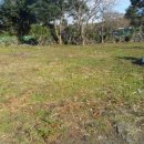 표선면-4 이미지