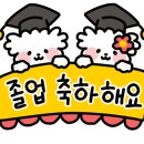 박사투어