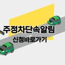 주정차 단속 - 004 이미지